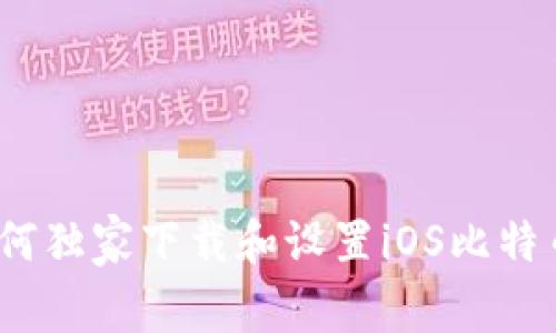 专家分享：如何独家下载和设置iOS比特币钱包的秘诀