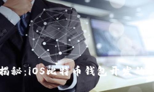 bh专家揭秘：iOS比特币钱包开发的独家秘诀