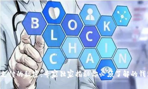比特币支付的秘密：专家独家揭秘你必须了解的钱包选择！