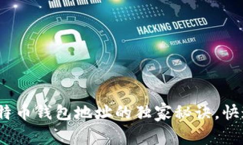 专家揭秘:生成比特币钱包地址的独家秘诀,快速安全不再是难题