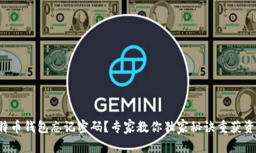 比特币钱包忘记密码？专家教你独家秘诀重获资产！