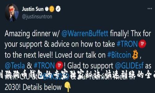 提币到狗狗币钱包的专家独家秘诀：快速到账的全面指南