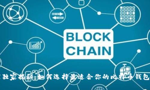 专家独家揭秘：如何选择最适合你的比特币钱包秘诀