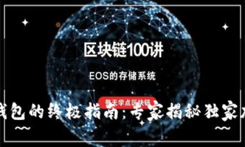 比特币钱包的终极指南：专家揭秘独家加密秘诀