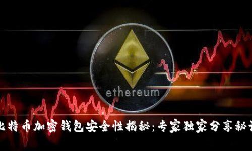 比特币加密钱包安全性揭秘:专家独家分享秘诀