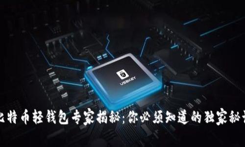 比特币轻钱包专家揭秘：你必须知道的独家秘诀