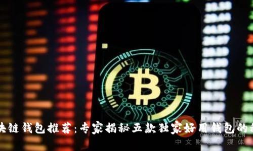 区块链钱包推荐：专家揭秘五款独家好用钱包的秘诀