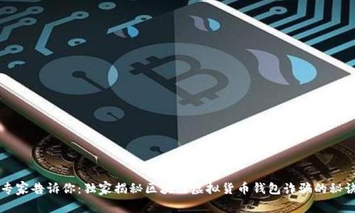 专家告诉你:独家揭秘区块链虚拟货币钱包诈骗的秘诀