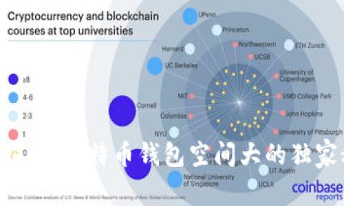 专家揭秘：比特币钱包空间大的独家秘诀!