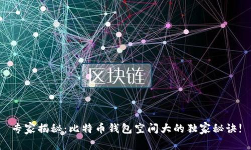 专家揭秘：比特币钱包空间大的独家秘诀!
