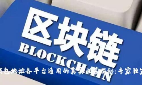USDT钱包地址各平台通用的真实内幕揭秘：专家独家秘笈！