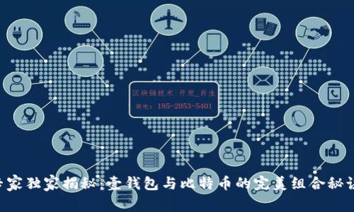 专家独家揭秘：壹钱包与比特币的完美组合秘诀！