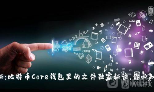 专家揭秘：比特币Core钱包里的文件独家秘诀，你必知的秘密！