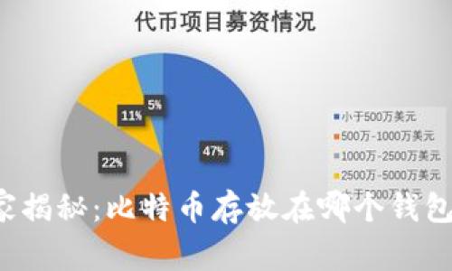 “专家独家揭秘：比特币存放在哪个钱包最安全？”