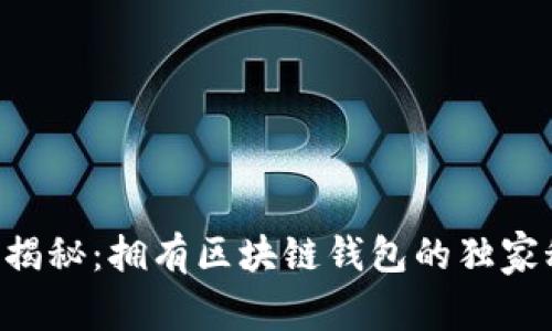 专家揭秘：拥有区块链钱包的独家秘诀！