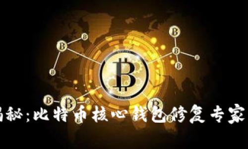 独家揭秘:比特币核心钱包修复专家的秘诀