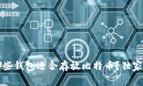 专家揭秘:哪些钱包适合存放比特币?独家秘诀告诉你!