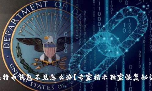 比特币钱包不见怎么办?专家揭示独家恢复秘诀!