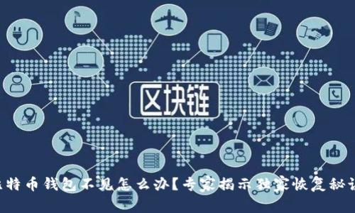 比特币钱包不见怎么办?专家揭示独家恢复秘诀!