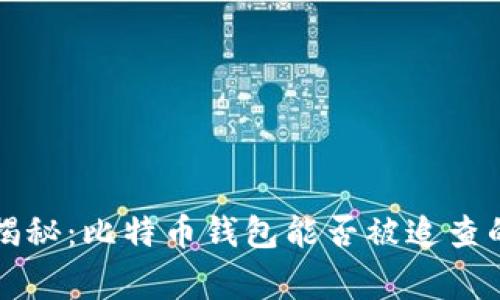 专家独家揭秘:比特币钱包能否被追查的真正秘诀