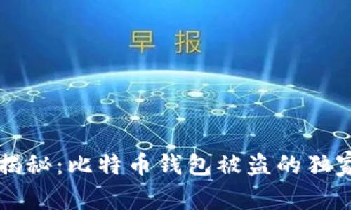 专家揭秘:比特币钱包被盗的独家秘诀