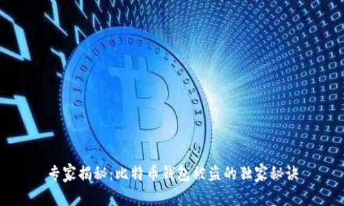 专家揭秘:比特币钱包被盗的独家秘诀