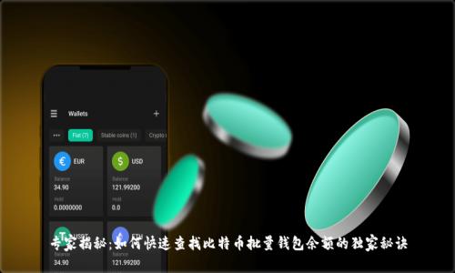 专家揭秘：如何快速查找比特币批量钱包余额的独家秘诀