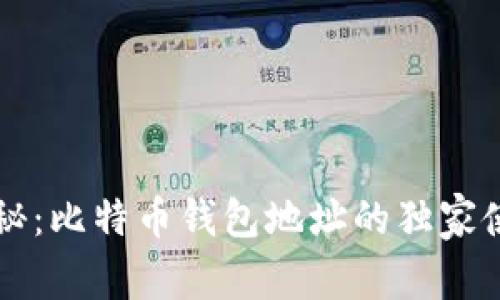 专家揭秘：比特币钱包地址的独家使用秘诀