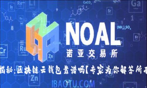 独家揭秘：区块链云钱包靠谱吗？专家为你解答所有疑惑
