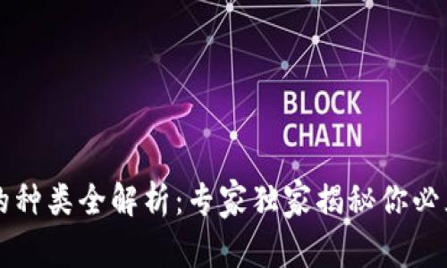 区块链钱包的种类全解析:专家独家揭秘你必须知道的秘诀