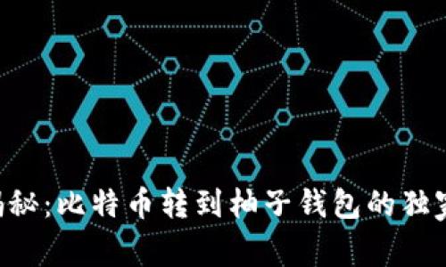 专家揭秘：比特币转到柚子钱包的独家秘诀！