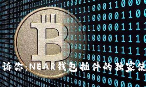 专家告诉你:NEAR钱包插件的独家使用秘诀
