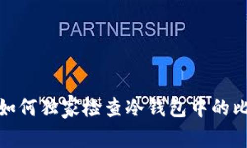 专家揭秘:如何独家检查冷钱包中的比特币数量?