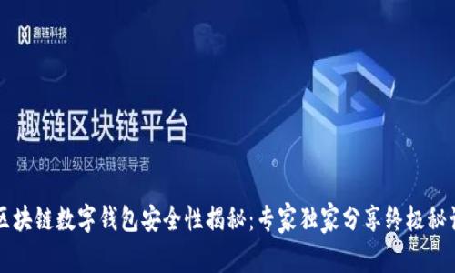 区块链数字钱包安全性揭秘：专家独家分享终极秘诀