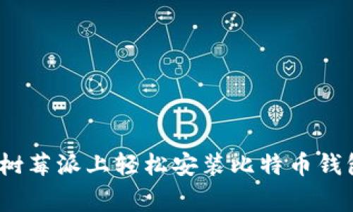 专家分享：在树莓派上轻松安装比特币钱包的独家秘诀