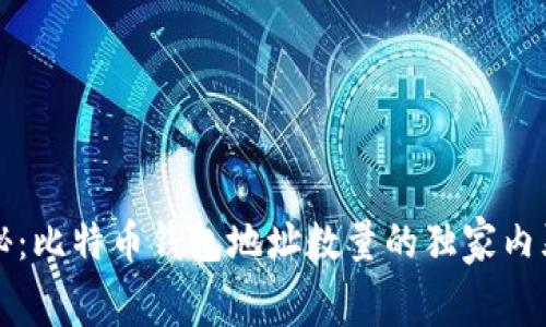 专家揭秘：比特币钱包地址数量的独家内幕与秘诀