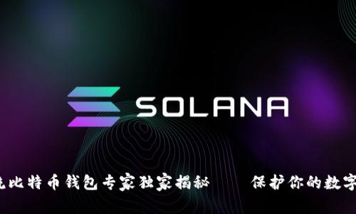 2023年主流比特币钱包专家独家揭秘——保护你的数字资产的秘诀