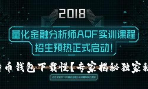 比特币钱包下载慢?专家揭秘独家秘诀!