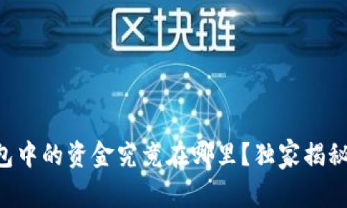 区块链钱包中的资金究竟在哪里?独家揭秘专家秘诀!