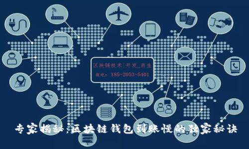 专家揭秘：区块链钱包到账慢的独家秘诀