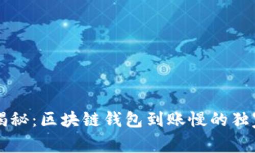 专家揭秘：区块链钱包到账慢的独家秘诀