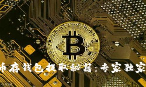 狗狗币存钱包提取秘籍:专家独家分享!