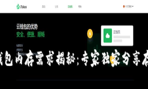 比特币钱包内存需求揭秘：专家独家分享存储秘诀！
