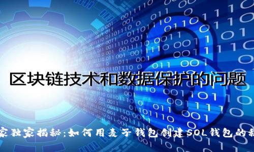 专家独家揭秘：如何用麦子钱包创建SOL钱包的秘诀