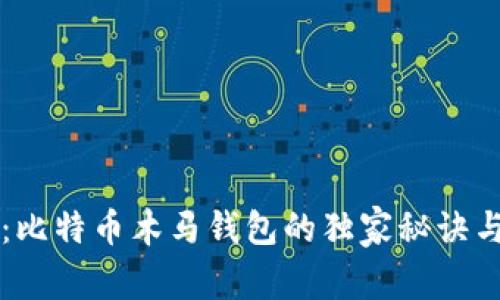 专家揭秘:比特币木马钱包的独家秘诀与防范方法