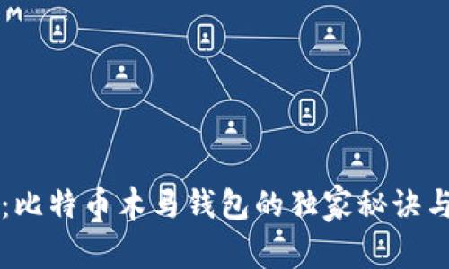 专家揭秘:比特币木马钱包的独家秘诀与防范方法