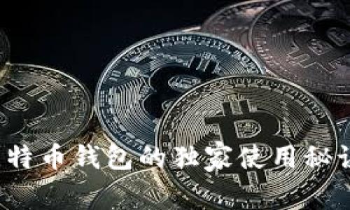 专家揭秘：比特币钱包的独家使用秘诀和选择指南