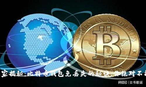 专家独家揭秘:比特币钱包免丢失的秘诀,你绝对不能错过!