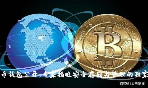 比特币钱包公开：专家揭晓安全存储与管理的独家秘诀