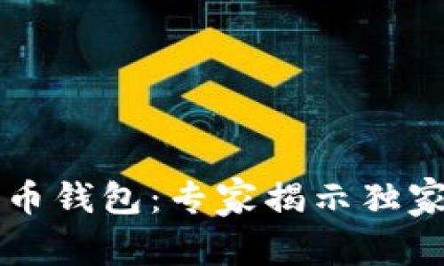中国第一个比特币钱包:专家揭示独家秘诀与应用前景